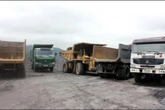 Tái diễn vấn nạn khai thác than trái phép tại thành phố Hạ Long