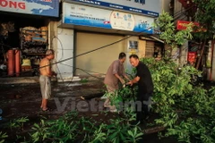 Cây xanh gãy đổ vào đường dây điện sau trận dông lốc. (Ảnh: Minh Sơn/Vietnam+)