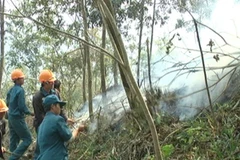 Nhiều khu rừng ở Sa Pa đang ở cấp độ báo cháy cực kỳ nguy hiểm