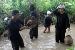 Cần Thơ phát triển nhiều sản phẩm du lịch mới hấp dẫn du khách