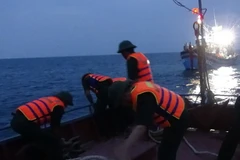 Ảnh minh họa. (Nguồn: TTXVN)