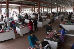 Ảnh minh họa. (Nguồn: TTXVN)