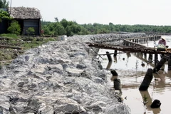 Cà Mau chi 20 tỷ đồng nâng cấp 2 cửa biển Sông Đốc và Khánh Hội