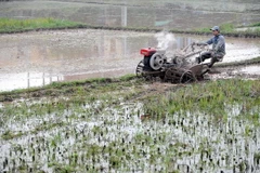 Tiến hành xả 2,22 tỷ m3 nước phục vụ sản xuất vụ Đông Xuân 