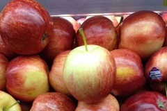 Quản lý thị trường không phát hiện có hoa quả nhập khẩu từ Australia