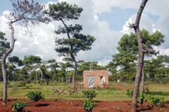 Tây Ninh hỗ trợ di dời gần 500 hộ dân ra khỏi đất lâm nghiệp 