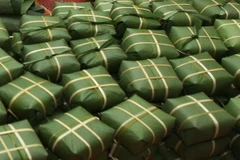 Đại sứ quán Việt Nam tại UAE và Séc tổ chức gặp mặt mừng Xuân