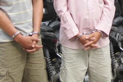 Ảnh minh họa. (Nguồn: TTXVN)