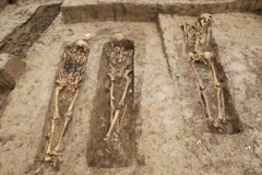 Hài cốt các bịnh lính của Napoleon được phát hiện tại một công trường xây dựng ở Frankfurt, Đức ngày 17/9. (Nguồn: phys.org)