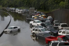 Phương tiện giao thông bị mắc kẹt trên một xa lộ bị ngập tại Houston ngày 26/5. (Nguồn: AFP)