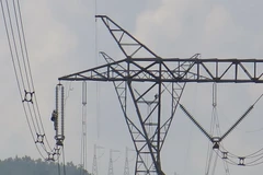 (Ảnh: Văn Sơn/TTXVN)