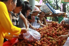 Chôm chôm miền Nam. (Ảnh: Phương Vy/TTXVN)