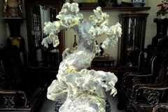 Một mẫu cây bonsai đá. (Nguồn: Báo Ảnh Việt Nam)