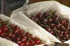 Australia mở rộng thị trường xuất khẩu rau quả tại Nhật Bản