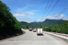 Ảnh minh họa. (Nguồn: TTXVN)