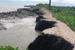 Ảnh minh họa. (Nguồn: TTXVN)