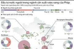 (Nguồn: Vietnam+)