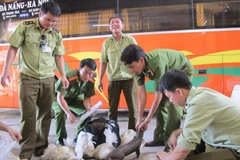 Vinh danh 7 cá nhân tích cực bảo vệ các loài động vật hoang dã 