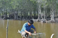 Thu nhập hàng trăm triệu đồng từ nuôi thủy sản ở rừng ngập mặn