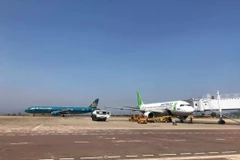 Vietnam Airlines và Bamboo Airways đều đưa ra các kế hoạch và lộ trình để mở đường bay thẳng đến Mỹ. (Ảnh: Việt Hùng/Vietnam+)