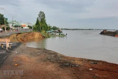 Quốc lộ 91 đoạn đi qua ấp Bình Tân, xã Bình Mỹ, huyện Châu Phú, tỉnh An Giang xuất hiện vết rạn nứt và sạt lở nửa đường xuống Sông Hậu. (Ảnh: Công Mạo/TTXVN)