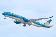 Máy bay của hãng hàng không Vietnam Airlines. (Ảnh: Đức Anh)