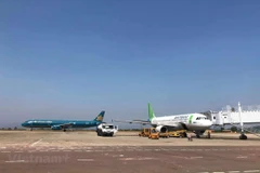 Vietnam Airlines và Bamboo Airways đều đưa ra các kế hoạch và lộ trình để mở đường bay thẳng đến Mỹ. (Ảnh: Việt Hùng/Vietnam+)