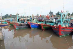 Tàu thuyền được neo đậu vào nơi an toàn nhằm tránh trú bão. (Ảnh: An Đăng/TTXVN)