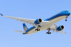 Đội tàu bay của hãng hàng không Vietnam Airlines. (Ảnh: Đức Anh)