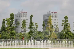 Ảnh minh họa. (Nguồn: TTXVN)