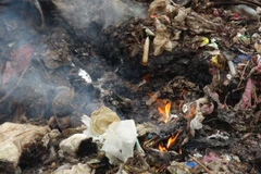 Ảnh minh họa. (Nguồn: TTXVN)