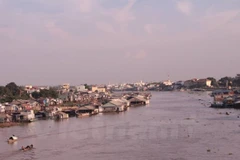 Một đoạn sông Hậu. (Nguồn: Vietnam+)