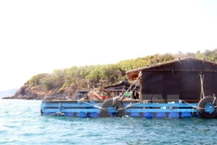 Hình chỉ mang tính minh họa. (Nguồn: TTXVN)