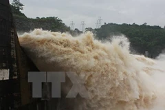 Ảnh chỉ mang tính minh họa. (Nguồn: TTXVN) 