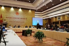 Nguyên nhân khiến cá chết hàng loạt ở ven biển miền Trung là nội dung chính của cuộc họp báo Chính phủ diễn ra ngày 30/6. (Ảnh: PV/Vietnam+)