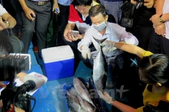 Người dân chứng kiến cơ quan chức năng, kiểm tra, chứng thực nguồn gốc hải sản. (Ảnh: Thành-Thọ/Vietnam+)