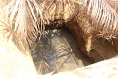 Người dân huyện Ba Tri, tỉnh Bến Tre không còn cách nào khác là phải đào những cái giếng cỡ lớn để vét nước ngầm. (Ảnh: Hùng Võ/Vietnam+)