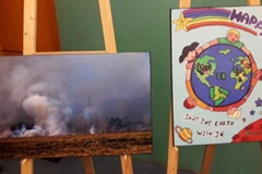 Hai tác phẩm đạt giải nhất tại cuộc thi sáng tác ảnh và vẽ poster. (Ảnh: Hùng Võ/Vietnam+)