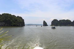 Quang cảnh vùng di sản thiên nhiên thế giới vịnh Hạ Long. (Ảnh: Hùng Võ/Vietnam+)
