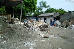 Đường vào thôn Dược Hạ, xã Tiên Dược, huyện Sóc Sơn, thành phố Hà Nội. (Ảnh: PV/Vietnam+)