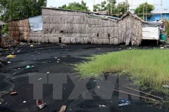 Ảnh minh họa. (Nguồn: TTXVN) 