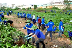 Ảnh minh họa. (Nguồn: TTXVN) 