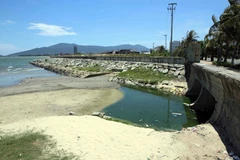 Ảnh chỉ mang tính chất minh họa. (Nguồn: TTXVN)