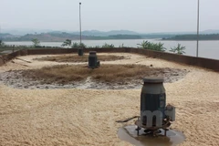 Ảnh minh họa. (Hùng Võ/Vietnam+) 