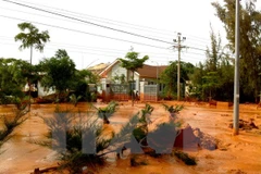 Ảnh minh họa. (Nguồn: TTXVN)