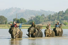 Ảnh minh họa. (Nguồn: TTXVN) 