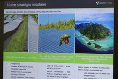 Chiến lược phát triển của Công ty năng lượng tái tạo Pháp Akuo Energy. (Ảnh: Hùng Võ/Vietnam+)
