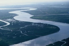 Đoạn sông Mekong chảy trên lãnh thổ Việt Nam. (Nguồn: WWF)
