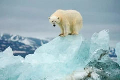 Tốc độ Trái Đất ấm lên chậm lại có thể chỉ là tạm thời