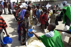 Xung đột và đô thị hóa đang đe dọa an ninh lương thực